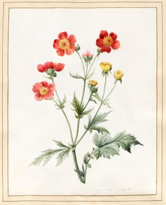 Composiet, 1827